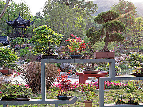 xổ số thừa thiên huế hôm nay