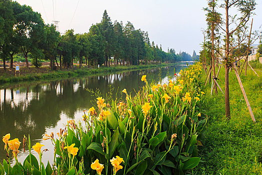 xổ số miền bắc hàng ngày