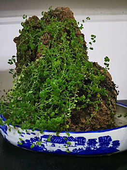 xem xổ số hôm nay