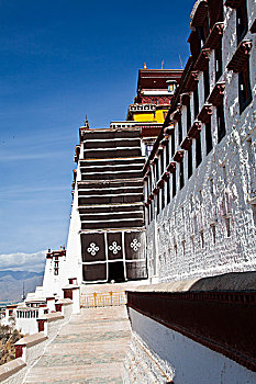 bạch thủ lô hôm nay là con gì